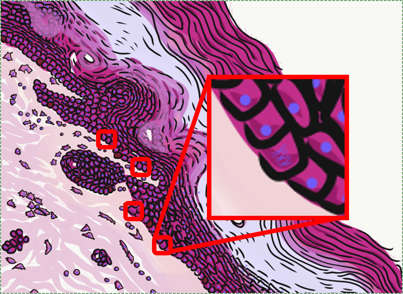 illustration of stem cells