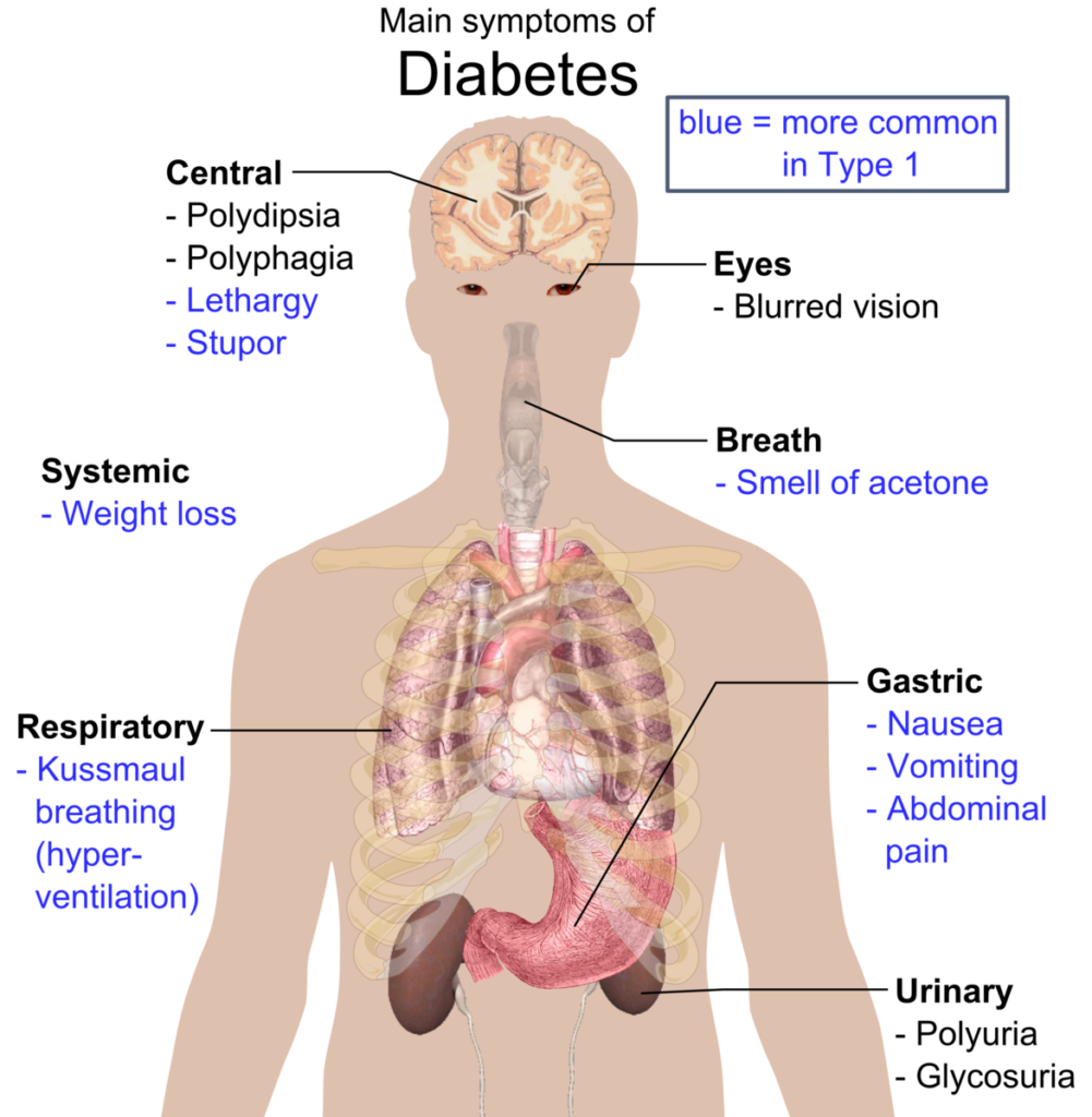 frontiers-the-crucial-role-and-mechanism-of-insulin-resistance-in