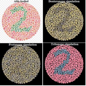 12.Ishihara_compare_1