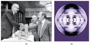 Figure 1 (a) James Watson, Francis Crick, and Maclyn McCarty  (b) the X-ray diffraction pattern of DNA