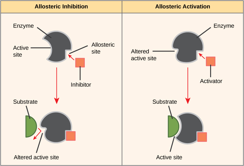 inhibition diagram