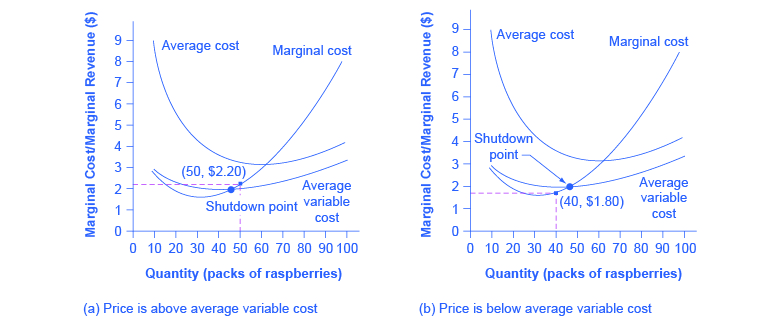 The graphs show that despite negative profits (i.e. losses), firms can continue to operate. However, when prices drop beneath variable cost, firms will shut down