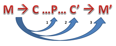 A diagram from M to C to P to C prime to M prime, with arrows going from M to P (arrow 1) M to C prime (arrow 2) and M to M prime (arrow 3)