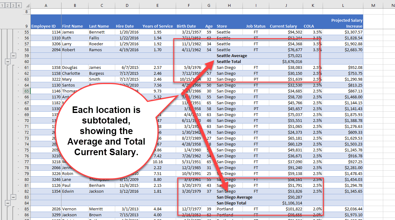 Subtotal Within A Subtotal Solution Screenshot 