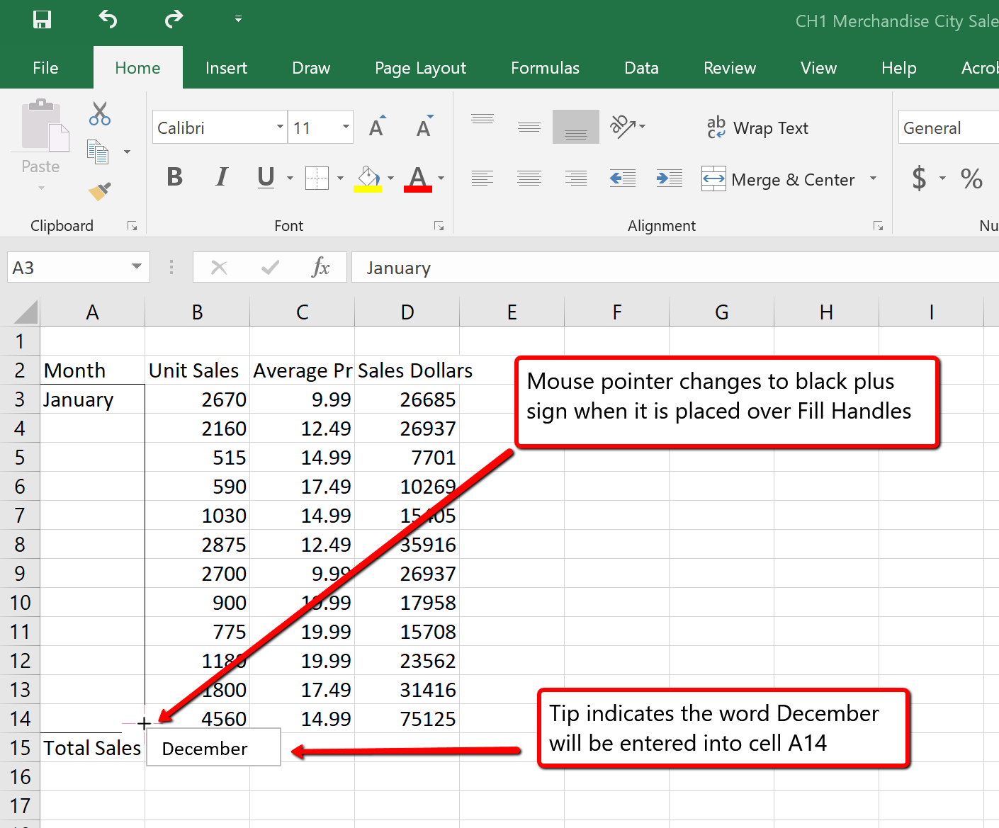 Cells A3 through A14 highlighted using Fill Handle (black plus sign). &quot;December&quot; in tip box indicates that word will be entered into cell A14.