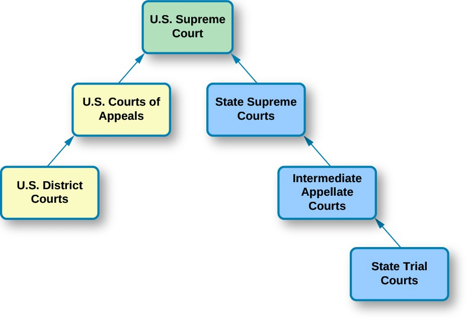 Criminal Justice Settings Introduction to Human Services