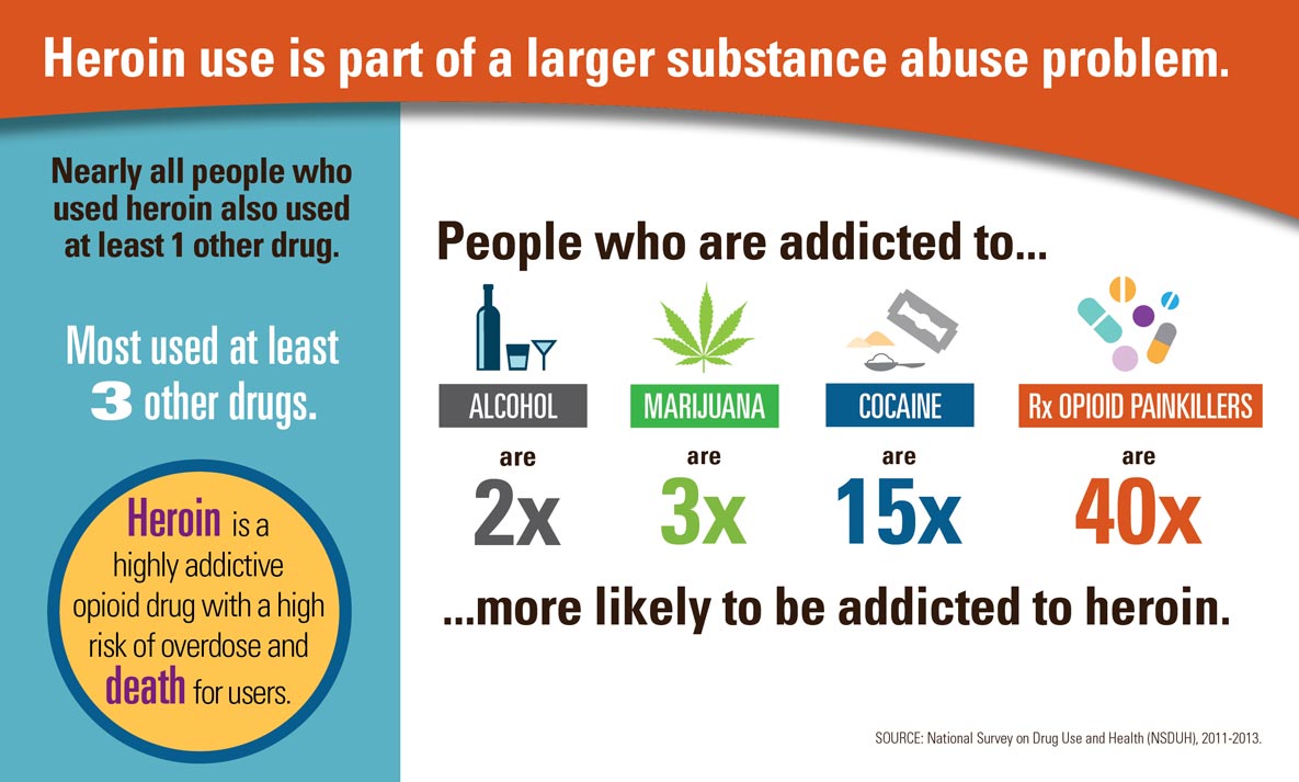Chart that says &quot;Heroin use is part of a larger substance abuse problem&quot; Nearly all poeple who used heroin also used at least 1 other drug. Most used at least 3 other drugs. Heroin is a highly addictive opioid drug with a high risk of overdose and death for users. People who are addicted to alcohol are 2 times more likely to be addicted to heroin. People who are addicted to marijuana are 3 times more likely to be addicted to heroin. People who are addicted to cocaine are fifteen times more likely to be addicted to heroin. Perscription opioid painkillers are 40 times more likely to be addicted to heroin.