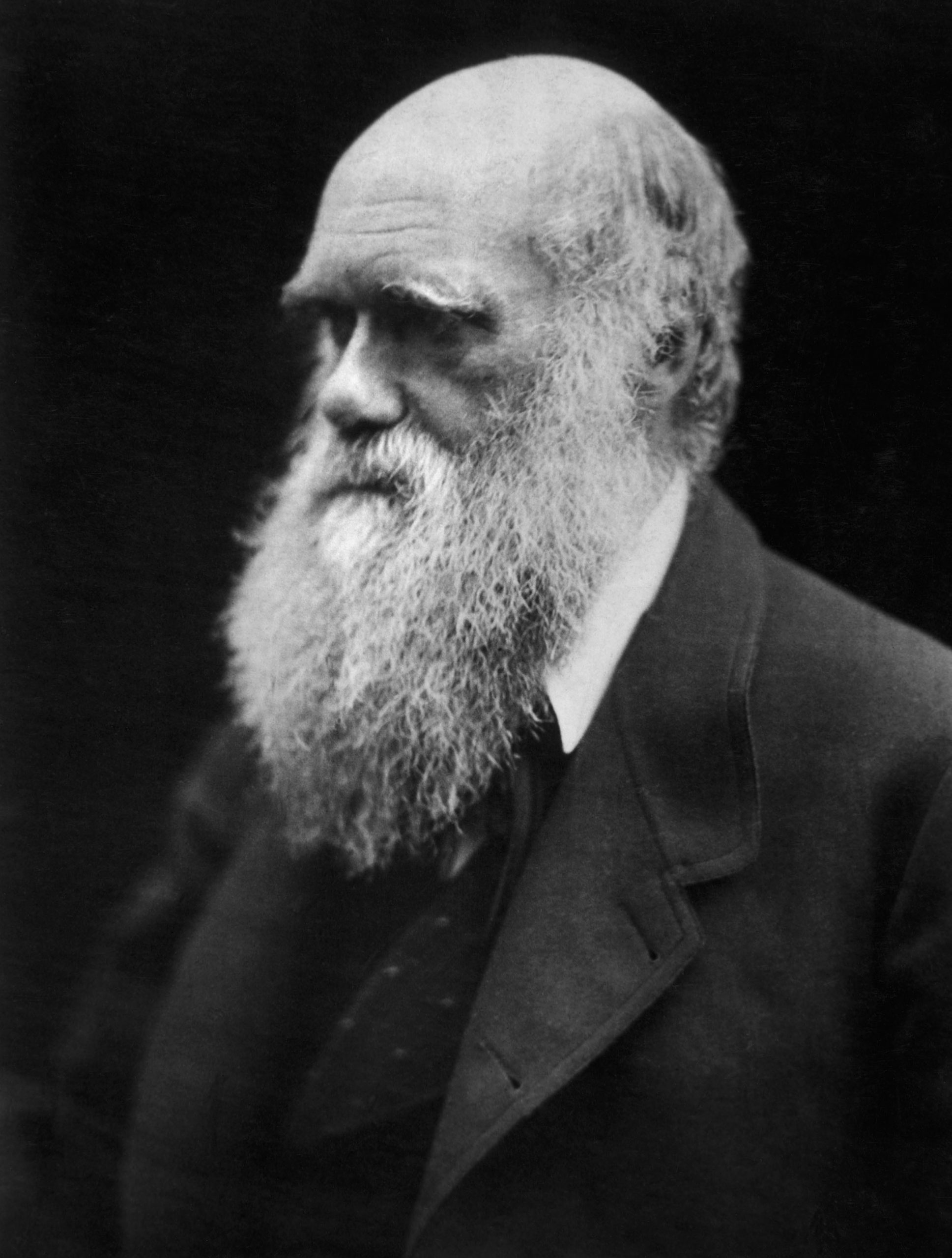 A black and white photograph of Charles Darwin in three-quarter view. He is wearing a suit and is photographed from the check up.
