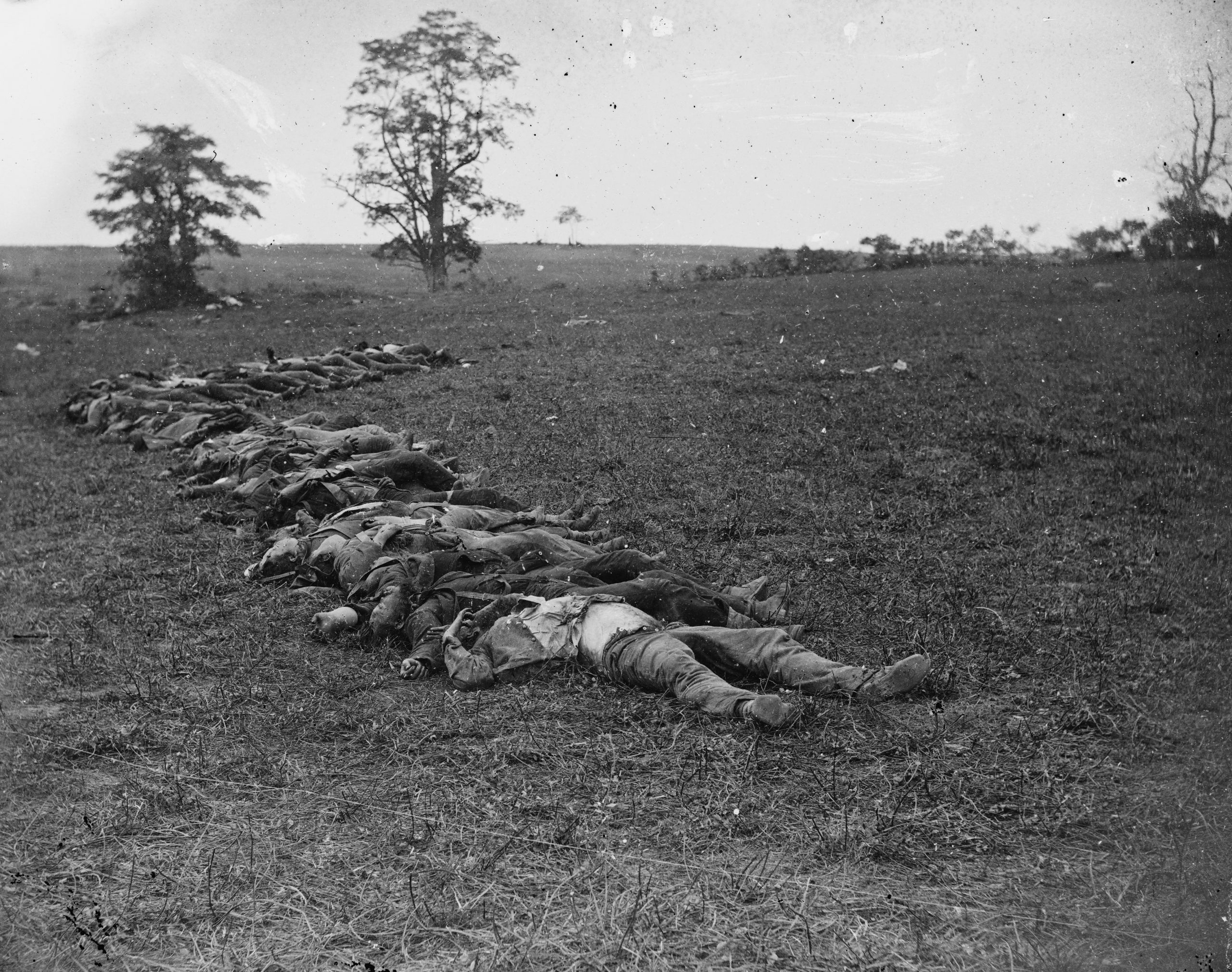 A black and white photograph of a field with dead bodies arranged in a line receding into the background. A few trees and bushes are in the background.