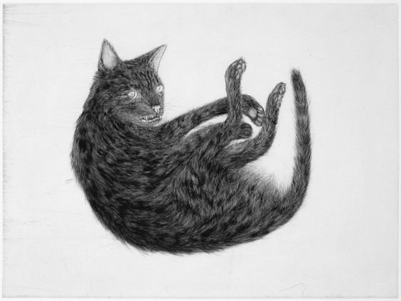 A black and gray cat is curled up with its legs and tail towards the top of the paper and its back curved.