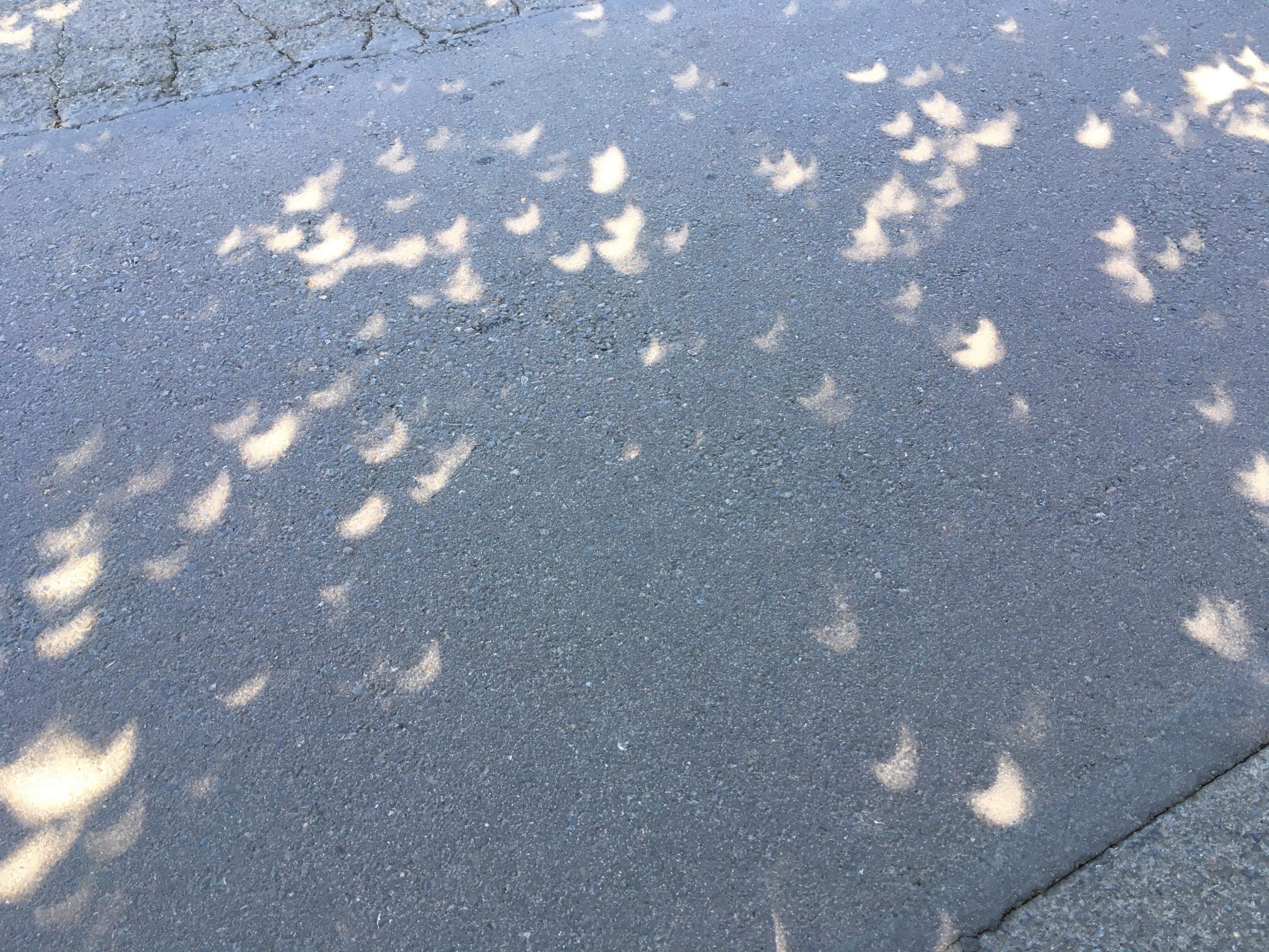 Crescent shapes of light on a shaded asphalt street.