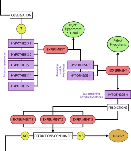 Scientific Method Flip Chart