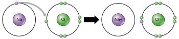 Chemical Bonds – Principles of Biology