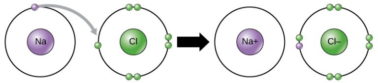 Chemical Bonds – Principles of Biology