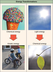energy transformations