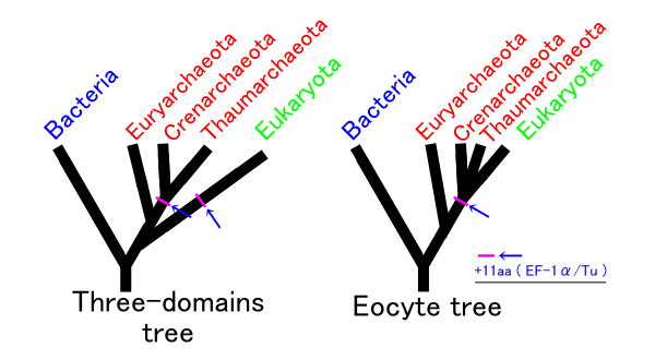 5 kingdoms hypothesis