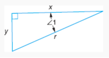 right triangle with northeast acute angle marked 1, then going counterclockwise, side marked x, right angle, side marked y, unmarked acute angle, side marked r.