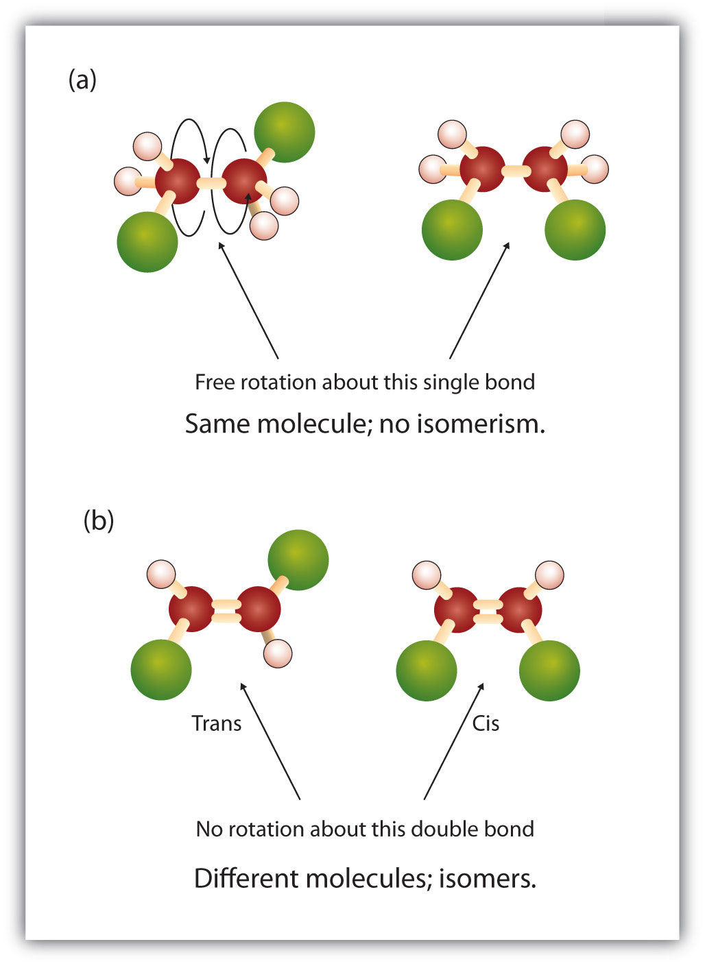 Diagram showing rotation around the axis of the single bond in alkanes, and the lack of similar rotation around the axis of the double bond in alkenes. For alkanes, text in the figure reads: Free rotation about the single bond, same molecule; no isomerism. For alkenes, text in the figure says: No rotation about this double bond, different molecules; isomers.