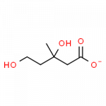 A chain of 5 carbons, with an OH attached to one end and COO at the other. At carbon 3 there are 2 substituents: an OH group and a methyl group.