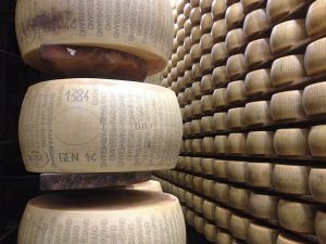 A picture of stored wheels of Parmigiano Reggiano cheese.