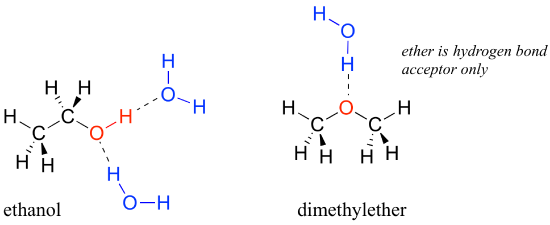 Two structures are shown: ethanol and dimethyl ether. Each is shown hydrogen bonding with water molecules. The alcohol group in ethanol can be a hydrogen bond donor and acceptor, and it is very water soluble. Dimethyl ether is a hydrogen bond acceptor only, and is less water soluble.