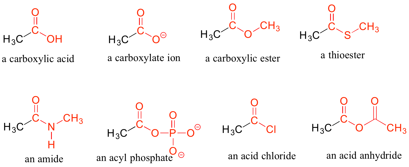 A variety of carboxylic acids and their derivatives are shown with structures and names, including a carboxylic acid, a carboxylate ion, a carboxylic ester, a thioester, an amide, an acyl phosphate, an acid chloride, and an acid anhydride.