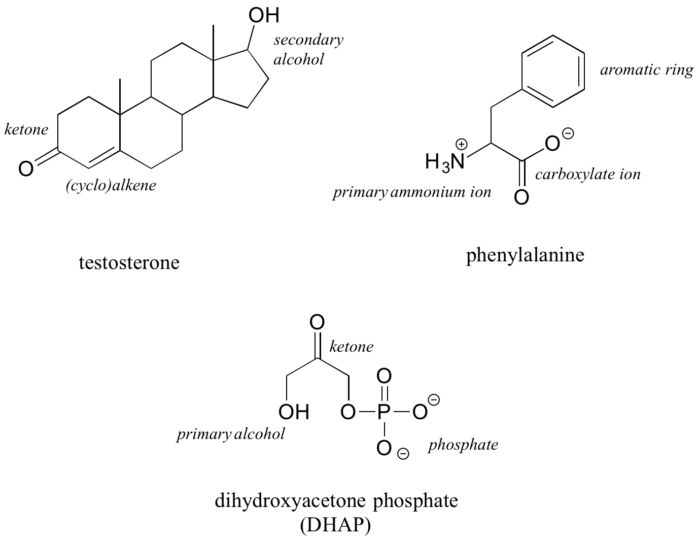 C19H28O2 isomers