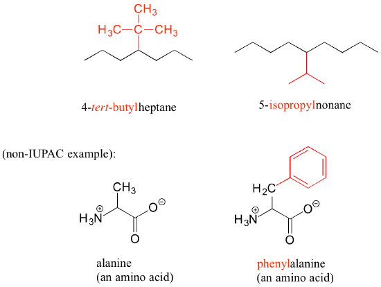 Examples are provided of structures and their common names. Included are 4-tert-butylheptane, 5-isopropylnonane, and the amino acids named alanine and phenylalanine.