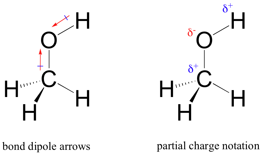 structural formula for methanol drawn twice. The first drawing shows how the cross-arrow convention is used to indicate bond polarity between C and O, and O and H. Arrow is drawn pointing toward the O for each bond, with a small cross-line at the base of the arrow. Structure 2 shows the same molecule with bond polarities indicated with the Greek lower case delta and a small + or - where such partial-charges exist. In this case partial + is shown at the C and H, and partial - is shown at the O.