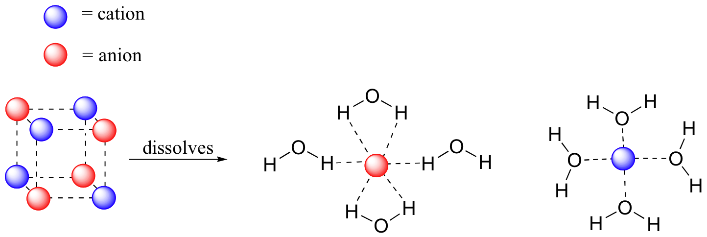 Dissolution of ions dissolving in water shown as a reaction. We see 8 ions, 4 cations and 4 anions, in a cubic arrangement to the left of the arrow. To the right of the arrow individual ions are represented as spheres surrounded by water molecules so that the dipoles of the water are oriented close to the dissolved ion with opposite charge. An anion is surrounded by 4 water molecules with their partial positive hydrogens close, and a cation is shown surrounded by 4 water molecules oriented with their partially negative oxygens surrounding it.