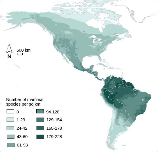 Map shows the special distribution of mammal species richness in North and South America. The highest number of mammal species, 179-228 per square kilometer, occurs in the Amazon region of South America. Species richness is generally highest in tropical latitudes, and then decreases to the north and south, and is at zero in the Arctic regions.