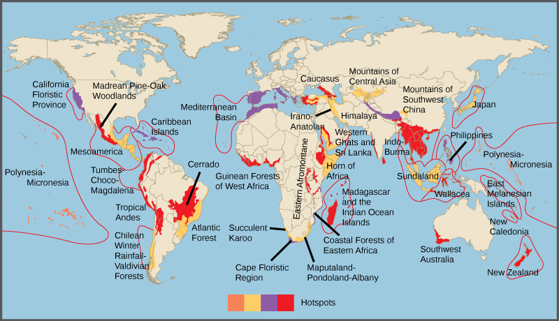 Biodiversity hotspots are indicated on a world map. Most hotspots occur in coastal regions and on islands.