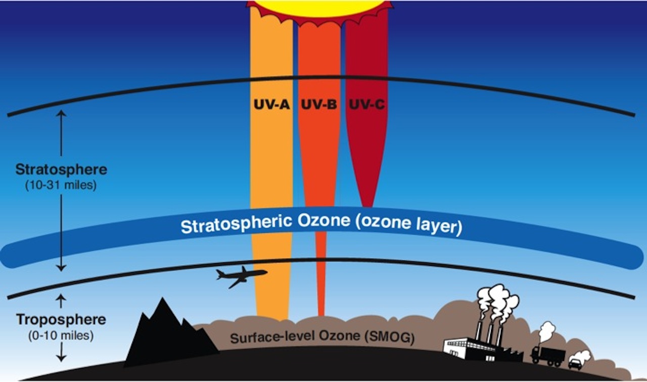 The ozone layer absorbs UV-B and UV-C light, protecting life on Earth from its harmful effects
