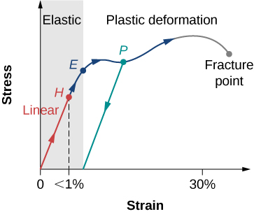 Figure shows a stress-strain plot. When the strain is below 1%, point H, stress grows linearly. Plastic deformation, marked as P, takes place between 1% and 30%. Further increase in strain results in fracture.