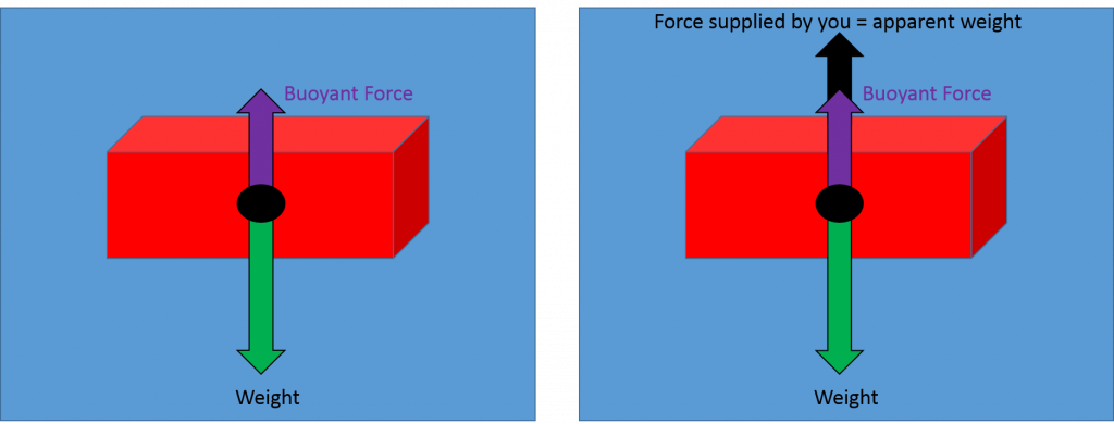 The diagram on the left shows a brick with an arrow labeled "weight" pointing downward from its center. A shorter "buoyant force arrow points upward. In the diagram on the right a second arrow points upward so that the total length of the upward arrows equals the length of the downward arrow. The new upward arrow is labeled "force supplied by you = apparent weight"
