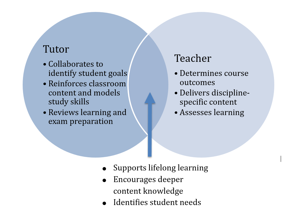 The Tutor S Role And Responsibilities Tutor Handbook   Tutor.v.Teacher Venn.Diagram 