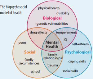 Three overlapping circles noting biological, social, and psychological factors