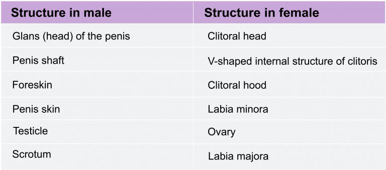 Chapter 4 Sex Differentiation, Anatomy, and Physiology Introduction