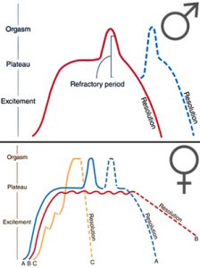 Chapter 17 Sexual Dysfunction and Treatment Introduction to