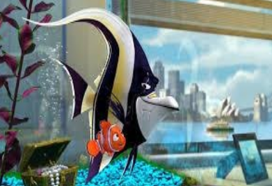 Finding Nemo (2003) – Difference, Power, and Discrimination in Film and ...