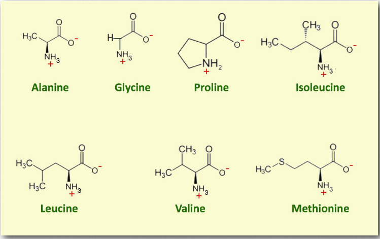 charged amino acids