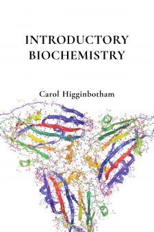 Introductory Biochemistry book cover
