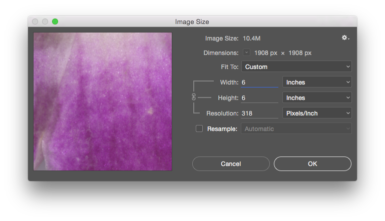 View of the Photoshop® Image Size dialog box with the image's width and height adjusted to 6 inches each.