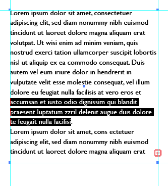 Screen capture showing a text box with part of the text selected for editing.