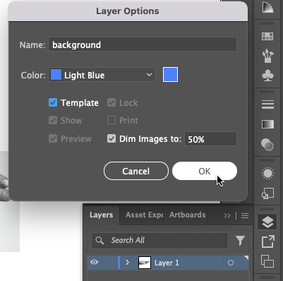 Layer Options dialog box