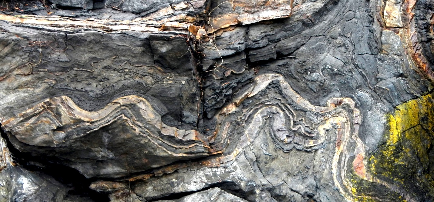 Image shows limestone, a sedimentary rock formed in marine waters, has been altered by metamorphism into this marble visible on Quadra Island, BC.