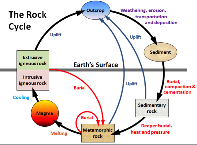 Once sediments are deposited, later deposition buries, compacts, and cements them together. With increasing burial, increasing pressure occurs and with enough pressure, a sedimentary rock can be converted to a metamorphic rock.