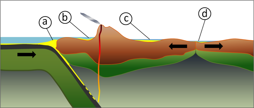 Figure shows a typical volcanic arc setting with a subduction zone off the coast of a continent. Letter a shows where the trench basin is between the continent and overlying the subducting plate, letter b shows the forearc basin, which is a basin or valley preceding the volcanic arc to the right of b. To the right of the volcanic arc, lies the foreland basin or valley on the leeward side of the volcanic arc. To the right of letter c is a rift basin or valley, where two plates are diverging.