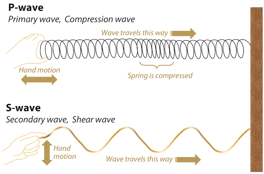 Figure shows how a P wave can be simulated by attaching a slinky to a wall and holding the other end, it can be pushed, causing compression of the springs to travel through to the wall and back to the hand. A S-wave can be simulated by attaching a rope to a wall and shaking it up and down, causing a wave to travel towards the wall.