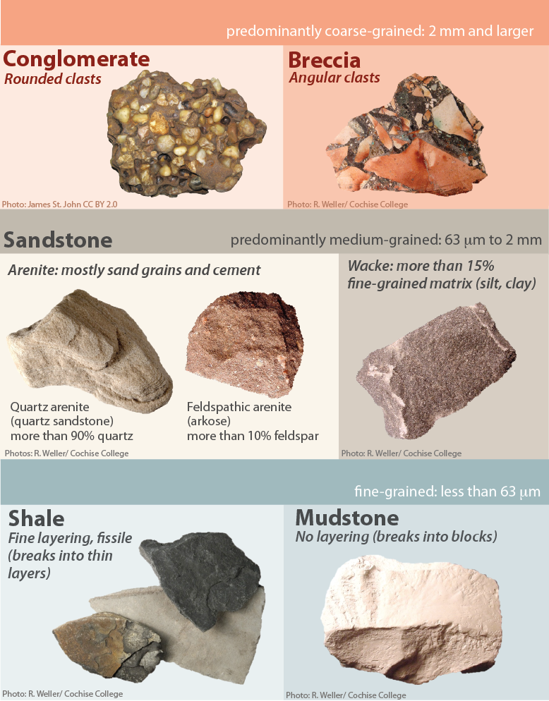 Figure shows different types of clastic sedimentary rocks. From top left to bottom right, Conglomerate, Breccia, Sandstone, Shale, and Mudstone